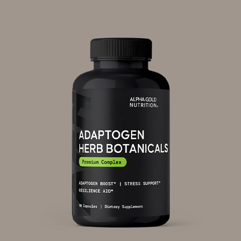 RX Medical